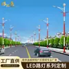Faro de Calle LED para Proyecto Transfronterizo, Lámpara de Iluminación de Poste Alto Integrada para Exteriores Conectada a la Red para Jardín y Patio, Farola Alimentada por Red Eléctrica