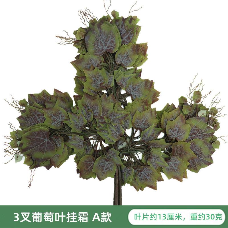 IMG_6806_副本_副本.jpg