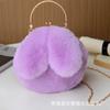 Bolso de conejo de peluche para mujer, bandolera estilo coreano, bonito bolso Mao Mao portátil, otoño e invierno, nuevo bolso con clip de orejas de conejo, bolso con clip