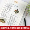 Cultura Mundial 1000 Preguntas Edición Cómic: Enciclopedia de Conocimientos Comunes para Estudiantes de Primaria de 6 a 12 Años - Conocimientos Culturales Chinos