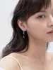 Brincos Minimalistas de Franja Gota d'Água com Zircônia para Mulheres, Brincos Tendência de Nicho, Estilo Influenciador Coreano, Novo Modelo 2025