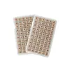 Parches para Orejas, Perlas para Orejas, Parches de Acupuntura para Orejas, Parches de Masaje con Perlas Magnéticas, Opcional: Parches de Acero de Baja Alergenicidad para Uso en Casa