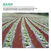 Película plástica de cobertura de suelo blanco y negro para agricultura para invernaderos, utilizada para deshierbe, aislamiento y retención de humedad, con blanco en el centro y negro en los lados