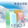 Bolsas de Hielo Reutilizables para Manos, Rodillas y Tobillos, Cuidado Calmante, Compresas Impermeables Calientes y Frías, Bolsa de Almacenamiento Portátil