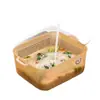 ¡Guau, esta cesta para lavar arroz de PP antibacteriano con iones de plata cuenta con una malla fina para escurrir y filtrar el agua, lo que la hace perfecta para lavar arroz y verduras en la cocina, y también se puede usar como un colador de fregadero versátil.