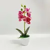 Flor Artificial 5 Flores Phalaenopsis Planta em Vaso High-End Realista Planta Verde Bonsai Casa Fotografia Cena Layout Bonsai