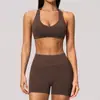 Conjunto Esportivo Novo Sem Costura Transfronteiriço para Mulheres Costas Nuas com Amarração no Pescoço Cintura Alta Controle da Barriga Conjunto de Treinamento Pilates Yoga 4535