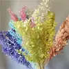 Flor Artificial de Luxo Flor Seca Flor Eterna Buquê Real Materiais Florais DIY Cobertura de Vidro Flor de Luxo Transfronteiriça Flor de Simulação Flor Artística