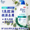 Tienda insignia Haifei champú de seda 930g champú refrescante eliminador de grasa anticaspa champú sedoso suave precio al por mayor