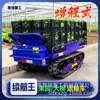 Veículo de Transporte Elétrico, Veículo para Pomar Agrícola, Economizador de Energia, Leve, Pequeno Veículo Autodescarregável, Artefato para Manuseio de Carga em Pátio Doméstico