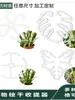 Suporte de Fixação de Raiz de Planta em Acrílico para Evitar Tombamento, Haste de Suporte para Monstera, Fixador de Planta Verde Folha de Mola, Estrutura de Agrupamento