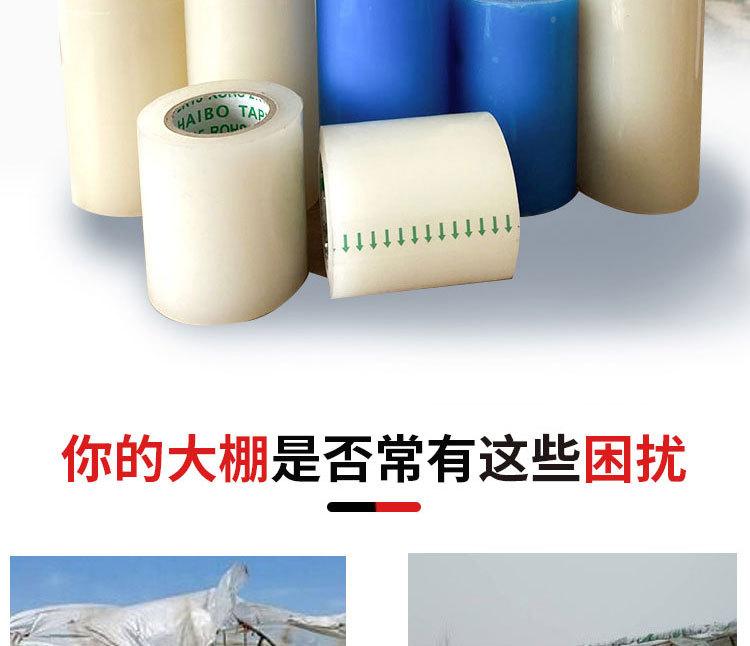 10米_02.jpg