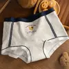 Calzoncillos tipo bóxer de algodón antibacteriano para niñas de talla grande, estilo británico, estampado de osos, tiro largo extendido, talla grande