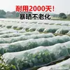 Corrida Maluca Tela mosquiteira transfronteiriça Rede especial para estufa Nylon espessado Para plantio de vegetais árvores frutíferas Tela mosquiteira agrícola Cobertura de rede para fazenda