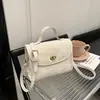 Bolsos Casuales para Mujer 2024 Primavera y Verano Nueva Moda Casual Bolso Cuadrado Pequeño Bolso Cruzado de Gama Alta de Nicho de Moda