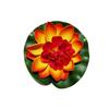 Flores de Loto Artificiales Transfronterizas, Hojas de Loto, Nenúfares para Ofrendas a Buda, Accesorios para Fotografía, Accesorios de Decoración para Acuarios y Estanques, Flores Artificiales
