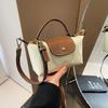 Bolsa Mini Fashion Feminina 2025 Explosões de Primavera Bolsa de Mão Simples e Moderna Bolsa Dumpling Versátil Bolsa de Ombro Transversal