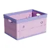 Caja de Almacenamiento Plegable Personalizable Caja de Almacenamiento con Puerta Lateral Caja de Almacenamiento para Camping al Aire Libre Caja de Almacenamiento para Maletero de Coche Venta al por Mayor
