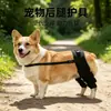 Ropa para Mascotas, Equipo de Protección para Perros, Cinturón Auxiliar para Lesiones en Patas Delanteras de Perro, Mallas para Perros, Cinturón de Rehabilitación de Pierna, Protección de Articulaciones de Pierna