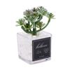 Flocado Verde tamaño pequeño Inmortaceae Simulación Planta Falsa Suculenta en Maceta Planta Verde Bonsái Decoración de Escritorio Regalo Planta de Simulación