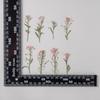 Xiangxueqiu Espécimen de Planta de Flor Real Enseñanza DIY Hecho a Mano Marco de Fotos Marcapáginas Carcasa para Teléfono Móvil Pintura de Flores Marcadas Material de Bolsa de Flores Secas