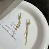 Brincos Longos com Franjas Exquisitos e Modernos Estilo Coreano com Cristais Moda Elegante Estilo Celebridade Personalidade Atmosfera Luxo Leve Acessórios de Orelha