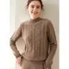 Nuevo Suéter de Punto de Cachemira de Color Sólido para Mujer, Cuello Alto, Tejido Grueso con Trenzas Grandes, Camisa Base Engrosada, Otoño e Invierno