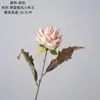 Brisa Vespertina de Cero Grados Artesanías Pequeño Emperador Flores Artificiales y Plantas Verdes Venta al por Mayor Decoración de Bodas Ins Fabricante Transfronterizo Flores Artificiales