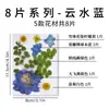 Flores Prensadas, Flores Secas en Resina, Materiales Florales Hechos a Mano para DIY, Materiales Didácticos de Plantas, Muestras de Flores Naturales Reales, Manualidades Hechas a Mano