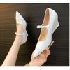 Versão Atualizada! Sapatos Mary Jane Estilo Francês em Prata, Salto Alto Elegante de Bico Fino para Mulheres, Novos Sapatos Plataforma Primavera 2026
