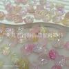 Pétalas de Camélia em Gradiente de Duas Cores Concha Ma Beibei Flor de Concha Flor de Peônia de Jade Fragrante Peônia Tianzhu Flor de Peônia