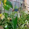 Arco de Ferro Estilo Vintage para Jardim, Inserções, Etiquetas e Placas Florais para Marcadores de Plantas, Decorações de Jardim e Enfeites para Vasos de Suculentas