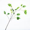 Folhas artificiais, folhas verdes, folhas de eucalipto, ramos, plantas verdes, parede de fundo de modelagem, decoração suave para casa, arranjo de flores e materiais de flores