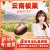 Castañas de Yunnan Seleccionadas con Cuidado Envío Directo 1 Jin Fruta Grande / 3 Jin Fruta Grande / 5 Jin Fruta Extra Grande Nueces Peladas
