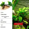 Musgo Paisagístico para Aquário Madeira Submersa Ficus da Água Planta Viva Sem Solo Preguiçosa Grama Aquática Real Ficus de Folha Grande Pastagem de Madeira Submersa Cabelo Liso