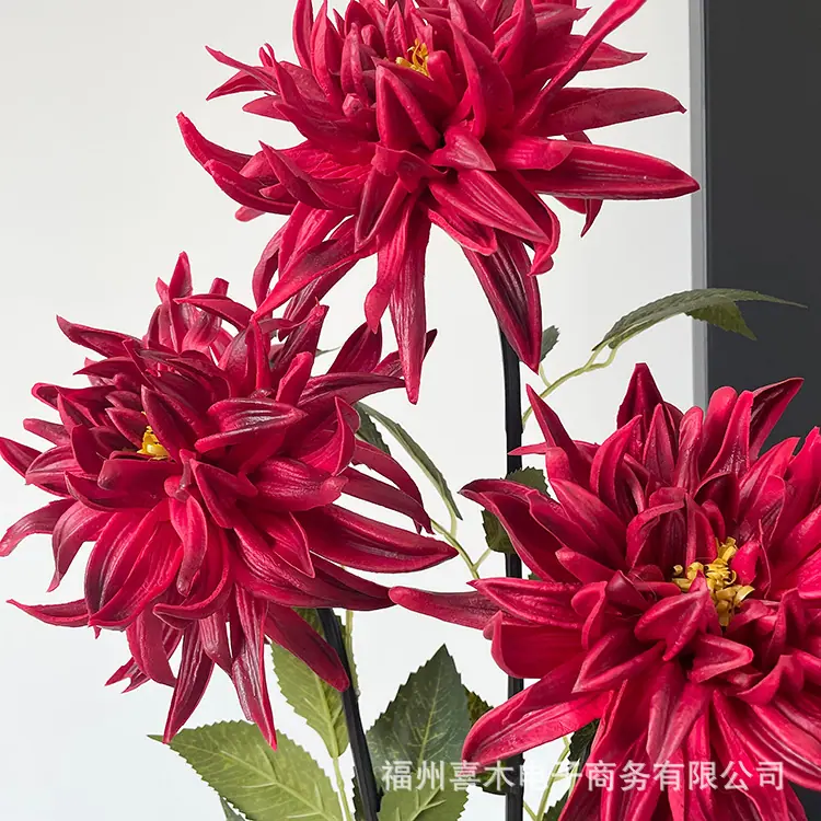photo-output_1 4.JPG