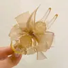 Clip de Pinza de Bola con Lazo de Malla Negra Artefacto para el Cabello con Disco Tocado Pasador Nuevo Estilo Celebridad de Internet Grande para la Parte Posterior de la Cabeza de Mujer