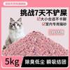 Areia Sanitária Mista 5kg Areia de Tofu Desodorizada Baixa Poeira Chá Verde Carvão Ativado 20kg Areias Sanitárias Frete Grátis 10kg Aglomera