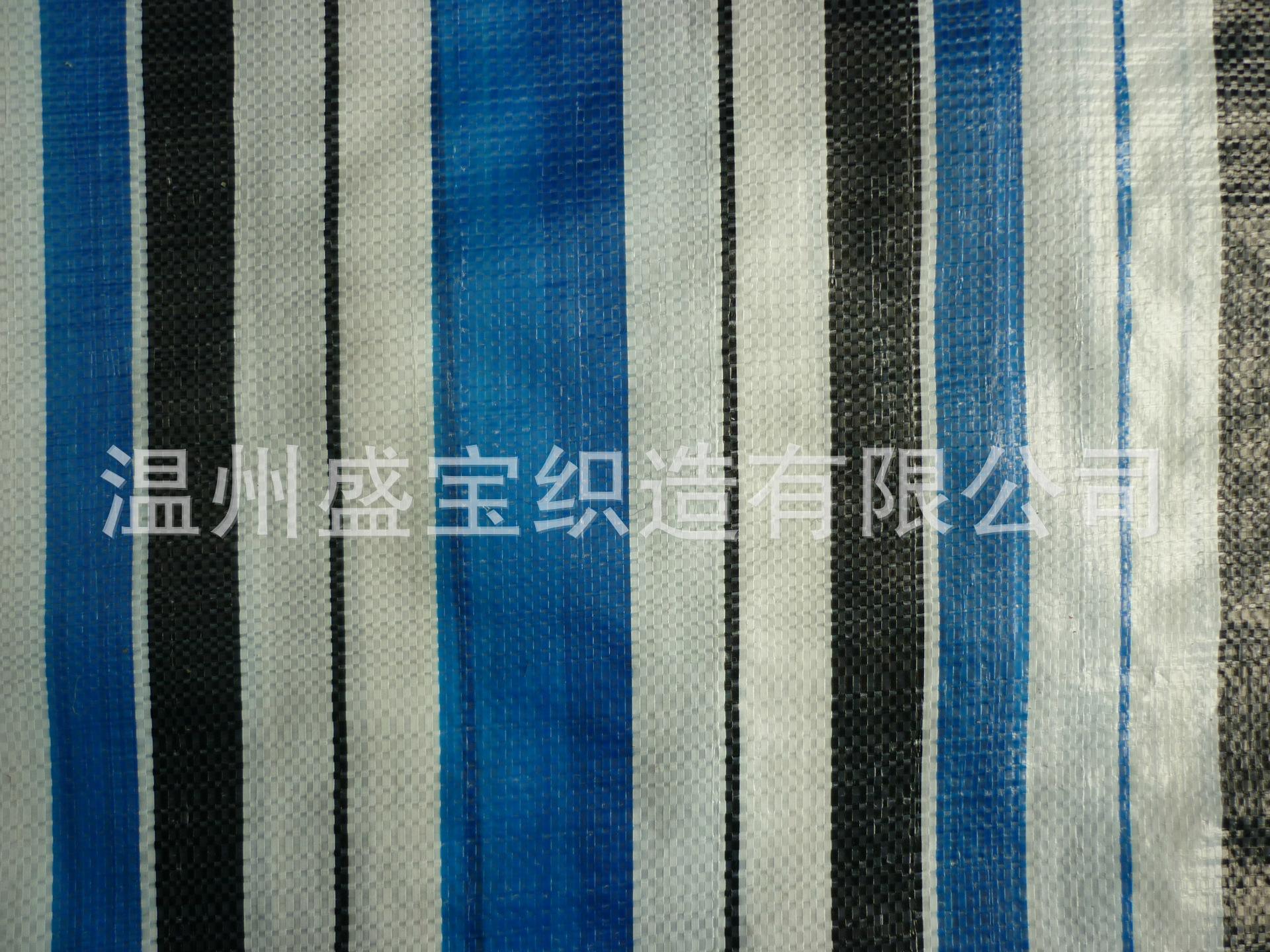 P1010266