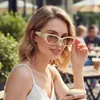 Moda Europea y Americana 2026 Nuevas Gafas de Sol Pequeñas Estilo Ojo de Gato Simples Versátiles Estilo Callejero Mismo Estilo de Influencer Gafas de Moda