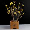 Ciruelo en Maceta Interior Perfumado Ciruelo de Invierno Bonsái Ciruelo Rojo Pila Vieja Balcón Patio Plantas Resistentes al Frío Fáciles de Cultivar