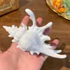 Nuevo Modelo 2025 Diseño Sencillo Pinza para el Cabello de Tiburón con Forma de Ola para la Parte Trasera de la Cabeza, Pinza Grande de Gama Alta para Mujeres