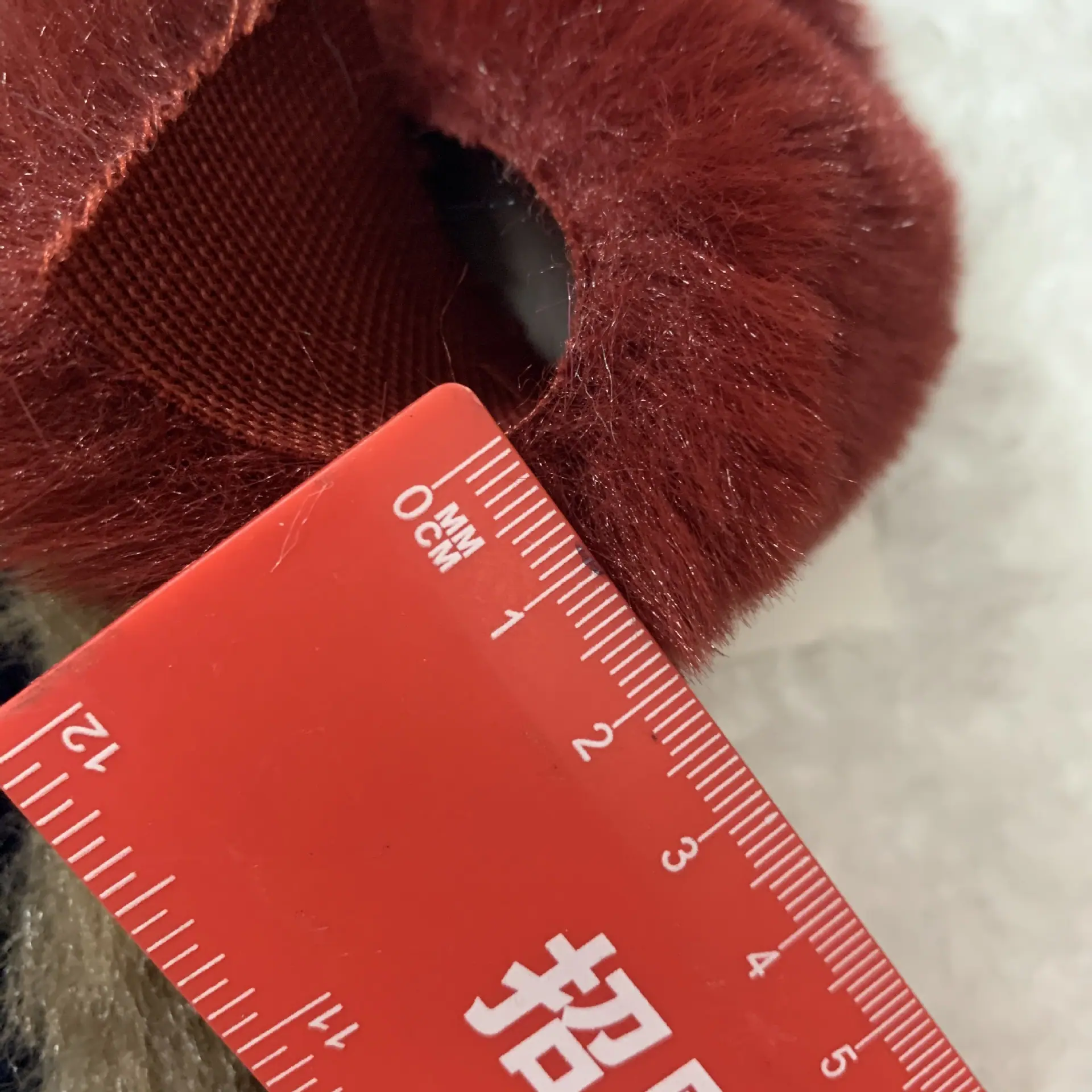 IMG_2833.JPG