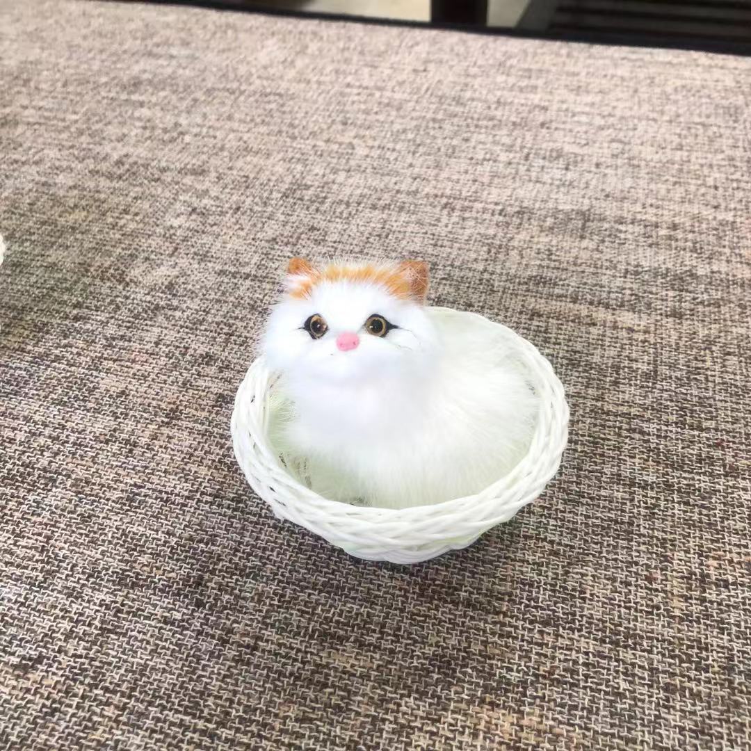 小圆框兔子和猫，和叫猫