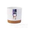 Maceta Hidropónica Personalizable Anthony Lazy Maceta de Plástico de Escritorio Absorbente de Agua para Plantas Verdes de Interior Balcón Escritorio Simple