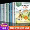 Libros Extracurriculares Imprescindibles para Segundo Grado en el Primer Volumen, Libros Clásicos Recomendados por la Editorial Educación del Pueblo, El Joven Héroe Wang Erxiao