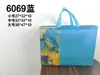 Bolsa no tejida de color spot recubierta con prensado en caliente bolsa de regalo publicitaria bolsa de compras de ropa no tejida portátil impresión de logotipo