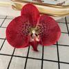 Flor Artificial 3D Cabeça de Flor Phalaenopsis Filme de Exportação Phalaenopsis Flor Falsa Grampo de Cabelo Transfronteiriço Phalaenopsis Casamento Caixa de Doces Cabeça de Flor