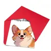 Combinación de Tarjeta de Felicitación de Cumpleaños de Tamaño Grande Nueva Transfronteriza con Sobre Ilustración de Animal Lindo Tarjeta de Regalo de Cumpleaños Tarjeta de Invitación