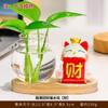 Estilo Moderno Gato da Sorte Móveis para Casa Decorações de Mesa Vaso de Mesa Plantas Verdes Hidropônicas Utensílios de Cultura em Água Presentes
